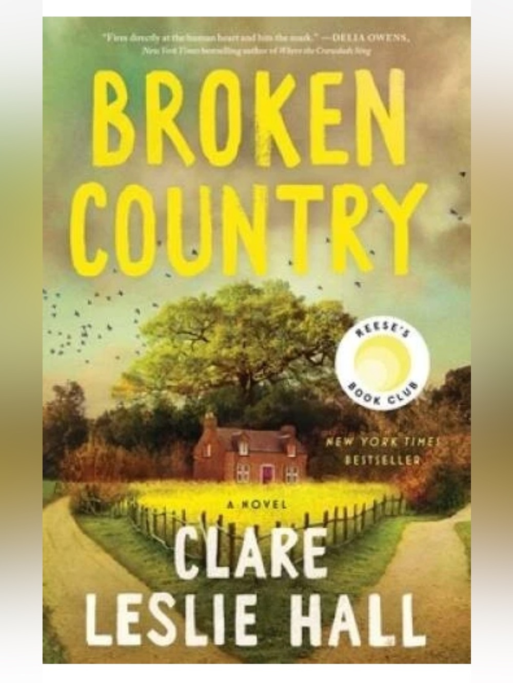 Broken Country by Clare Leslie Hall